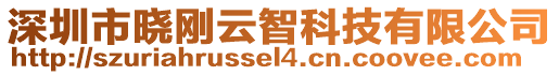 深圳市曉剛云智科技有限公司