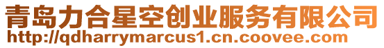 青島力合星空創(chuàng)業(yè)服務(wù)有限公司