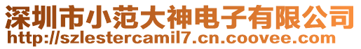 深圳市小范大神電子有限公司