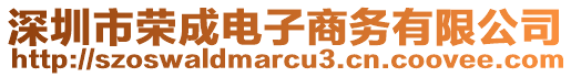 深圳市榮成電子商務(wù)有限公司