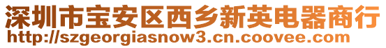 深圳市寶安區(qū)西鄉(xiāng)新英電器商行