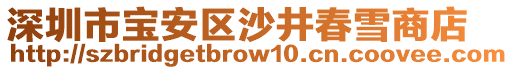 深圳市寶安區沙井春雪商店