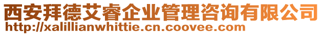 西安拜德艾睿企業管理咨詢有限公司