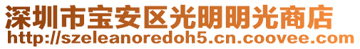 深圳市寶安區(qū)光明明光商店