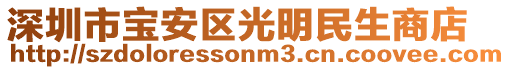 深圳市寶安區(qū)光明民生商店