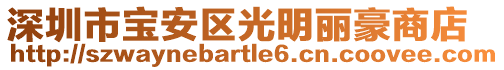深圳市寶安區(qū)光明麗豪商店