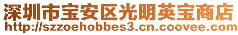 深圳市寶安區(qū)光明英寶商店
