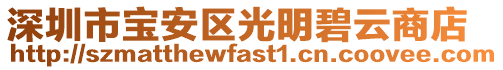 深圳市寶安區(qū)光明碧云商店