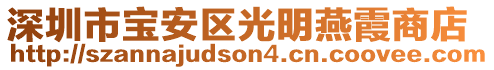 深圳市寶安區(qū)光明燕霞商店