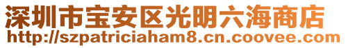 深圳市寶安區光明六海商店
