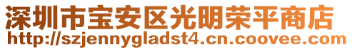 深圳市寶安區(qū)光明榮平商店