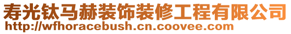 壽光鈦馬赫裝飾裝修工程有限公司