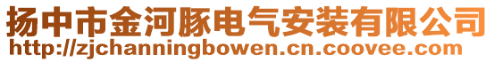 揚中市金河豚電氣安裝有限公司