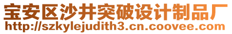 寶安區沙井突破設計制品廠