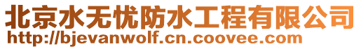 北京水無憂防水工程有限公司