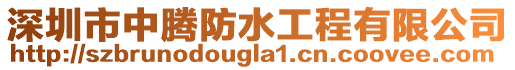 深圳市中騰防水工程有限公司