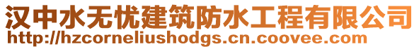 漢中水無憂建筑防水工程有限公司