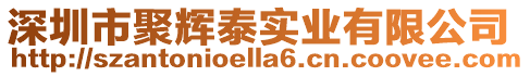 深圳市聚輝泰實業有限公司