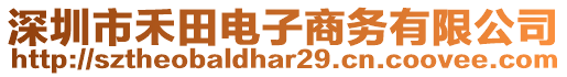 深圳市禾田電子商務(wù)有限公司
