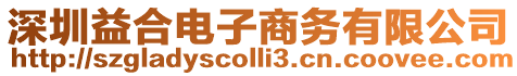 深圳益合電子商務(wù)有限公司