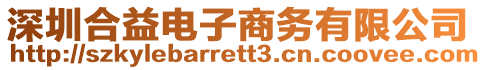 深圳合益電子商務有限公司