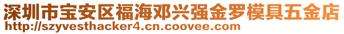 深圳市寶安區福海鄧興強金羅模具五金店