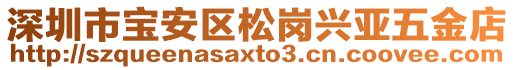 深圳市寶安區松崗興亞五金店