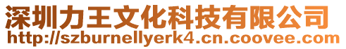 深圳力王文化科技有限公司