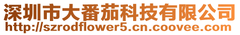 深圳市大番茄科技有限公司