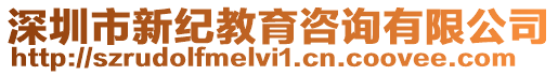 深圳市新紀教育咨詢有限公司