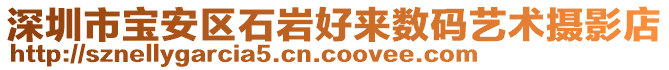 深圳市寶安區石巖好來數碼藝術攝影店
