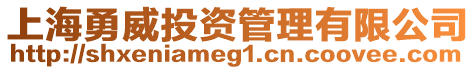 上海勇威投資管理有限公司