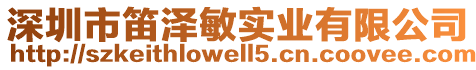深圳市笛澤敏實業有限公司