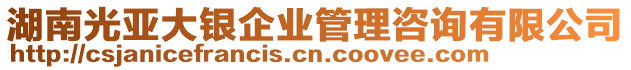 湖南光亞大銀企業管理咨詢有限公司