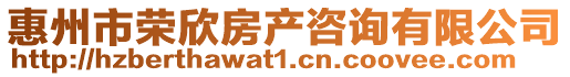 惠州市榮欣房產咨詢有限公司