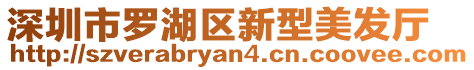 深圳市羅湖區(qū)新型美發(fā)廳
