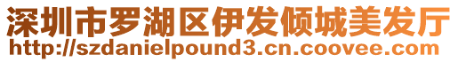 深圳市羅湖區伊發傾城美發廳
