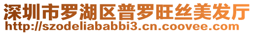 深圳市羅湖區普羅旺絲美發廳