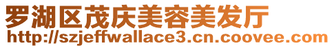 羅湖區茂慶美容美發廳