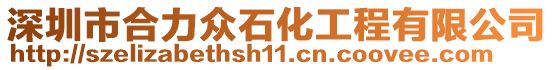 深圳市合力眾石化工程有限公司