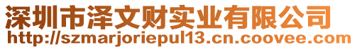 深圳市澤文財實業有限公司