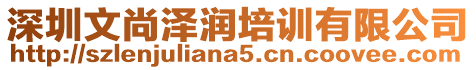 深圳文尚澤潤培訓有限公司