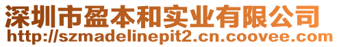 深圳市盈本和實業有限公司