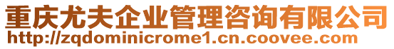 重慶尤夫企業(yè)管理咨詢有限公司