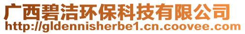 廣西碧潔環保科技有限公司
