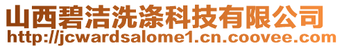 山西碧潔洗滌科技有限公司