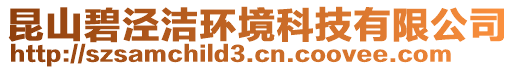 昆山碧涇潔環境科技有限公司