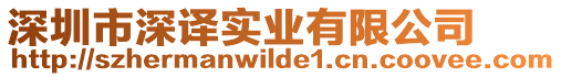 深圳市深譯實業有限公司