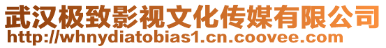 武漢極致影視文化傳媒有限公司