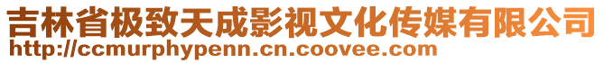 吉林省極致天成影視文化傳媒有限公司